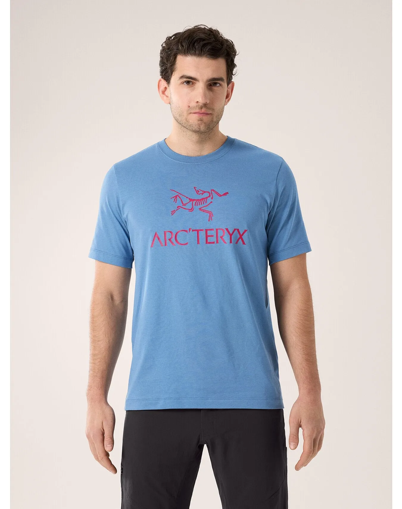 Arc'Word Logo Short Sleeve Shirt (Men's) - X000007991 - Past Season