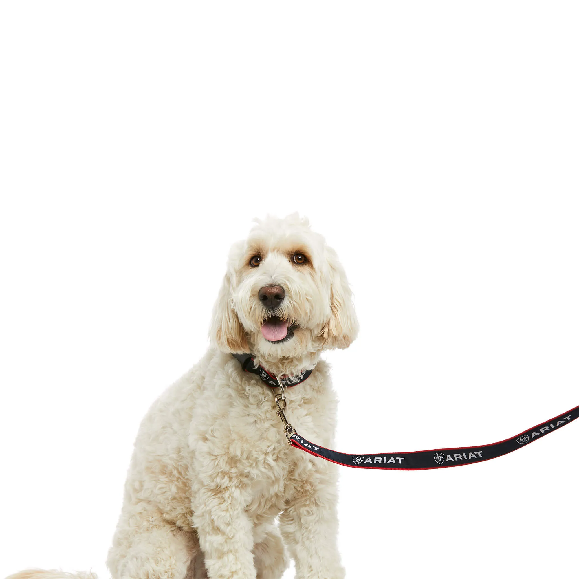 Ariat Dog Leash Team