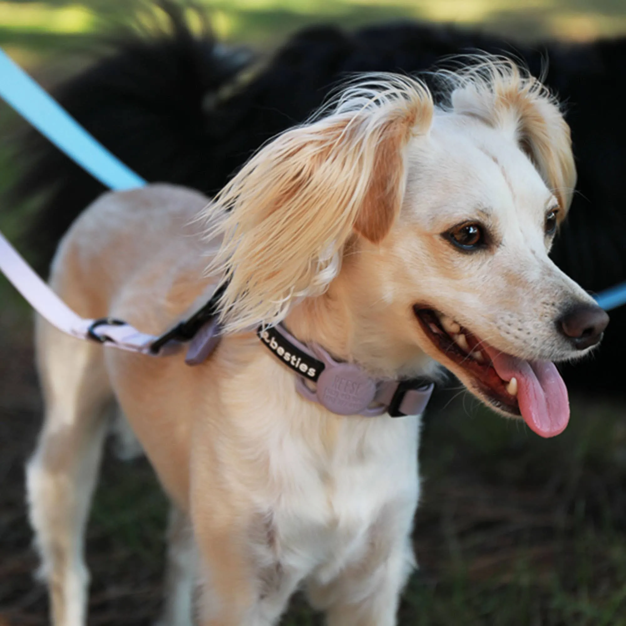 Besties Pets - Adventure Is Calling Silicone Pet AirTag Holder - Custom