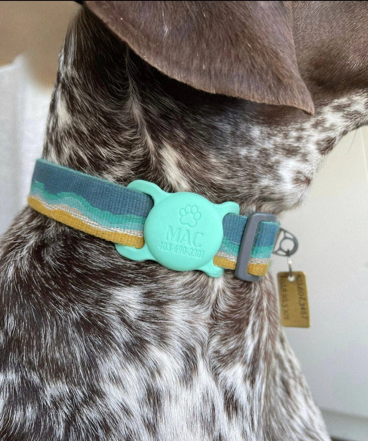 Besties Pets - Adventure Is Calling Silicone Pet AirTag Holder - Custom