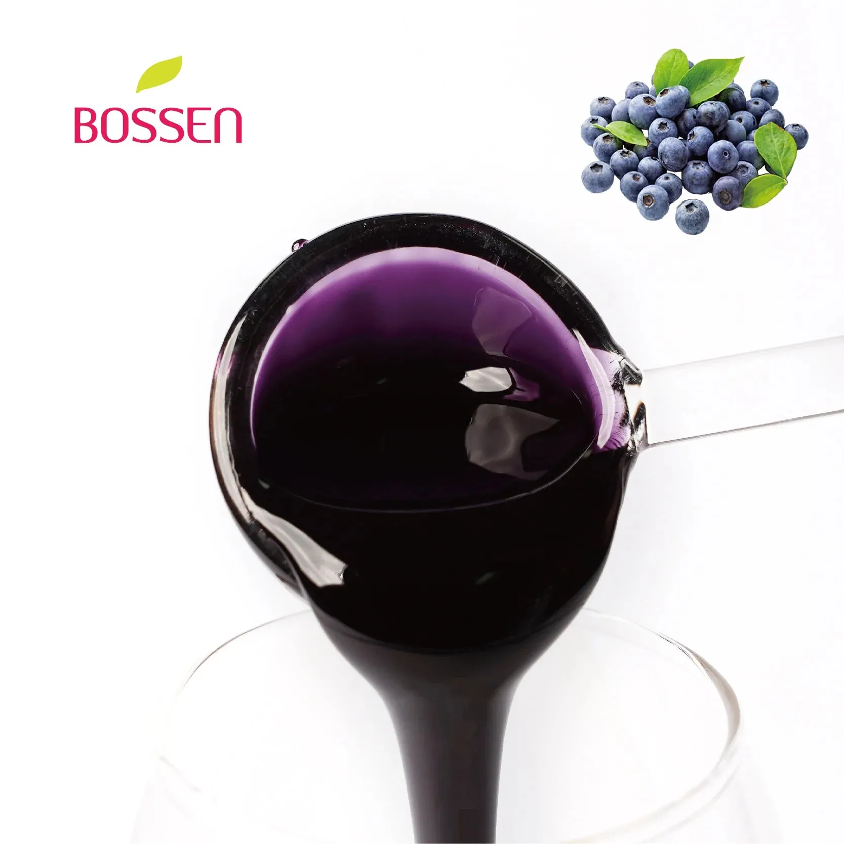 Blueberry | Multi-Use | Bubble Tea Syrup | Fruit Puree | Fruit Slush/Smoothie Mix | Foodservice Canada