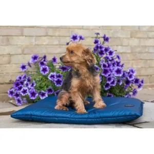 Cameo Equine Dog Bed - Waterproof and Durable Easy to Clean with Washable Liner