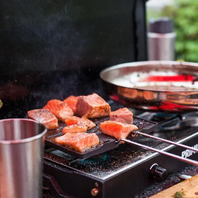 Campfire Griddle Plate