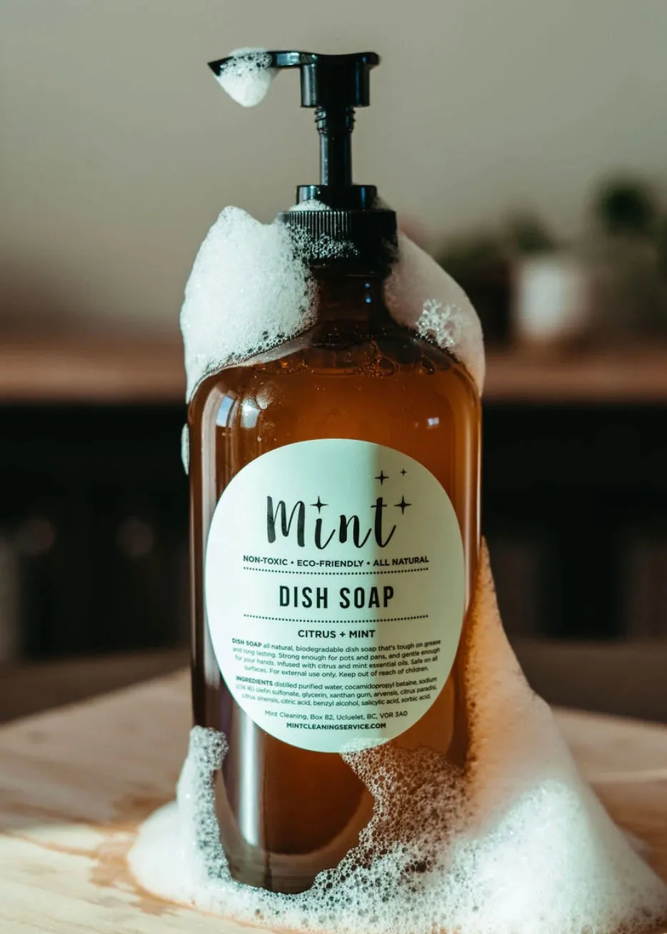 Dish Soap - 500 mL