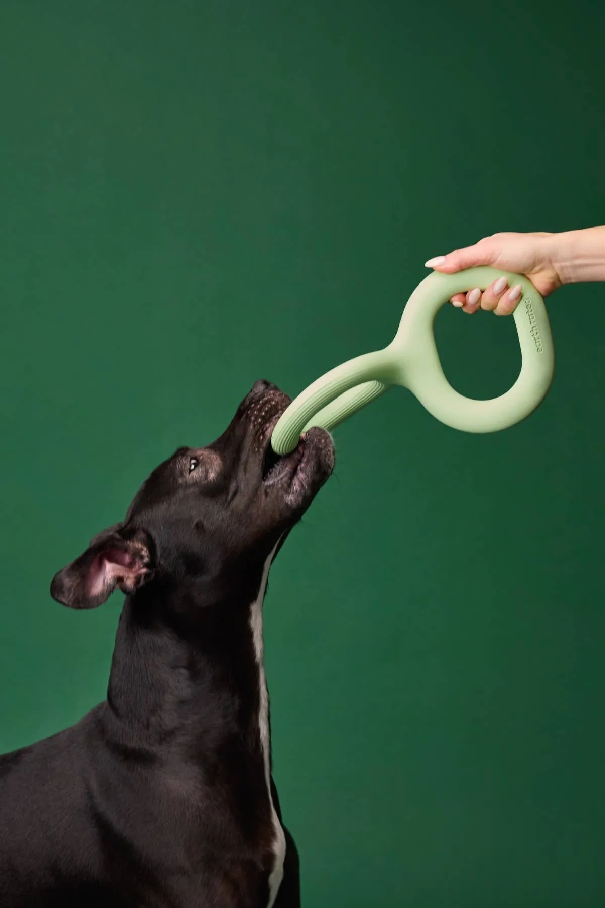 Earth Rated Rubber Tug Dog Toy - Durable and Fun for Playtime with Your Dog