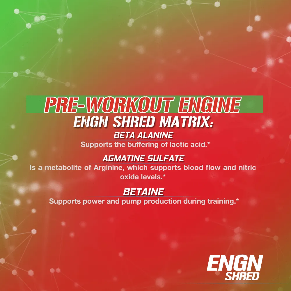 ENGN SHRED