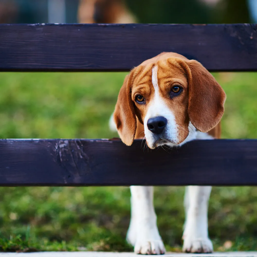 Feeling Lonely