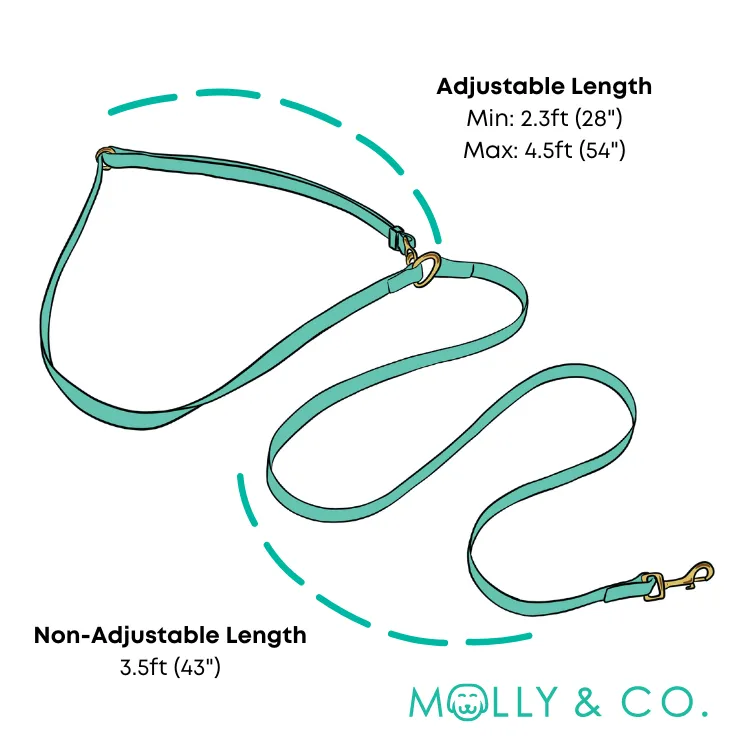 Mariposa - Handsfree Dog Leash
