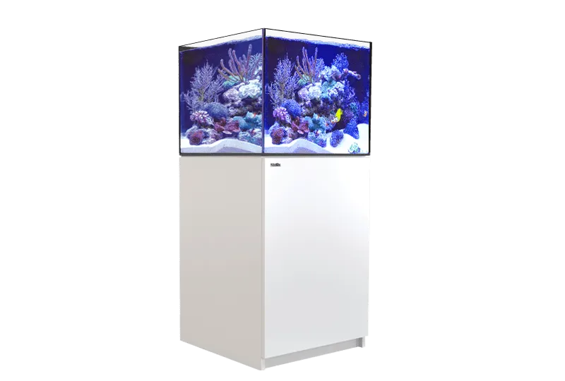 Red Sea Reefer G2  200 - White