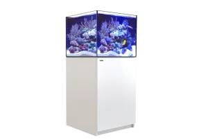 Red Sea Reefer G2  200 - White