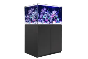 Red Sea Reefer G2  300  - Black