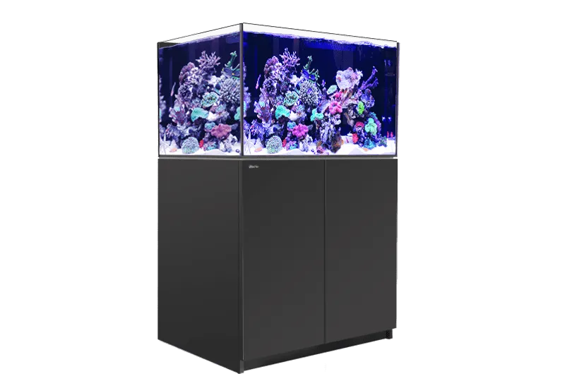 Red Sea Reefer G2  300  - Black