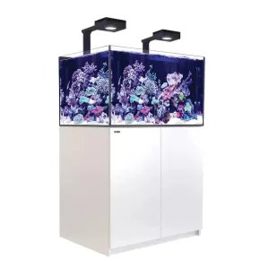 Red Sea Reefer G2  Max 300 - White
