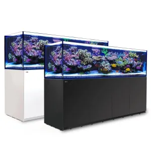 Red Sea Reefer G2 Max 900 Black