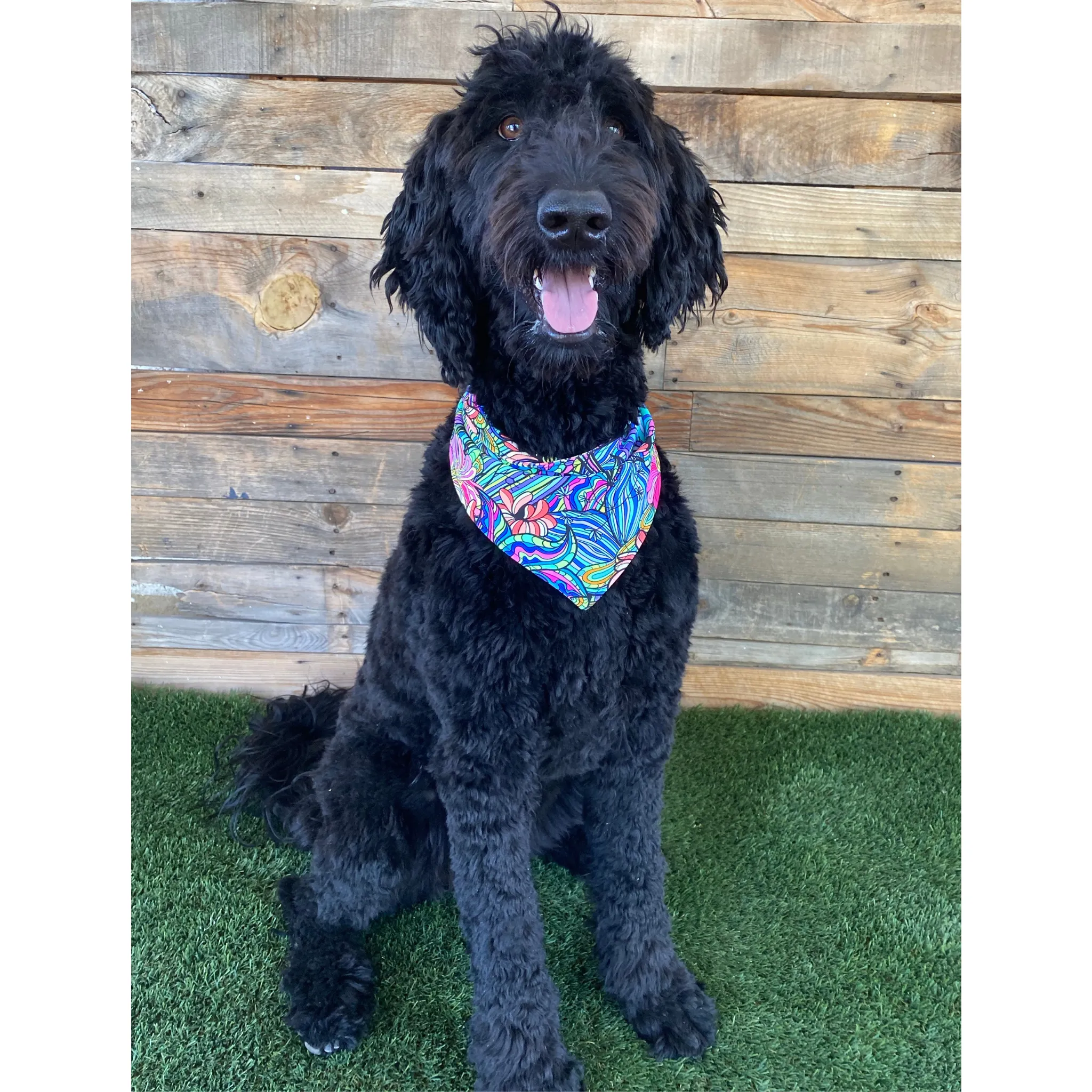 Retro Flower Power Dog Swim scARF